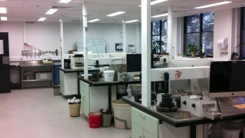 lab