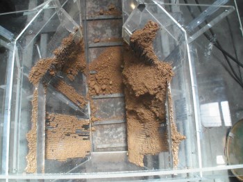feeder-scale